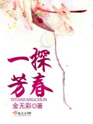 《（红楼同人）一探芳春》 作者：金无彩 txt文件大小：1.76 MB
