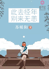 《此去经年，别来无恙》 作者：苏暖阳 txt文件大小：472.59 KB