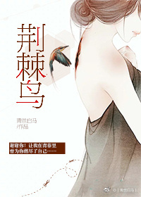 《雪祭-荆棘鸟》 作者：烛芒/青丝白马 txt文件大小：550.71 KB