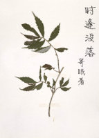 《时逢没落》 作者：寄眠 txt文件大小：279.28 KB