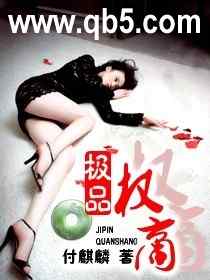 《极品权商》 作者：付麒麟 txt文件大小：4.23 MB