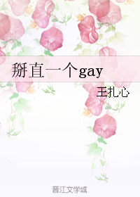《掰直一个gay》 作者：王扎心 txt文件大小：223.77 KB