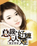 《总裁大人好难缠》 作者：莫言无奈 txt文件大小：418.36 KB