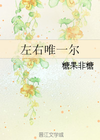《左右唯一尔》 作者：糖果非糖 txt文件大小：817.68 KB