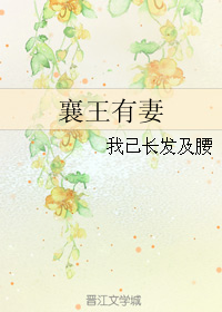 《襄王有妻》 作者：我已长发及腰 txt文件大小：455.82 KB