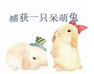 《捕获一只呆萌兔》 作者：云许清风 txt文件大小：31.26 KB