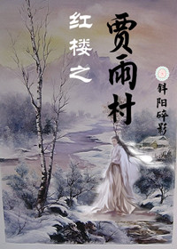 《（红楼梦同人）红楼之贾雨村》 作者：斜阳碎影 txt文件大小：461.88 KB