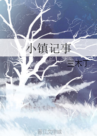 《小镇记事》 作者：三木丁 txt文件大小：29.87 KB