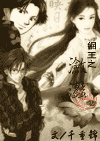《（网王同人）网王之潋滟》 作者：千重锦 txt文件大小：471.14 KB