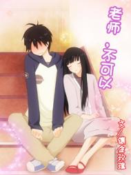 《老师，不可以》 作者：镶金玫瑰 txt文件大小：242.51 KB