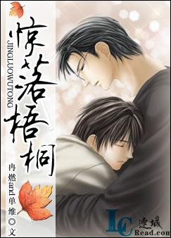 《惊落梧桐》 作者：冉燃and单维 txt文件大小：1.2 MB