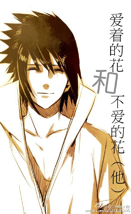 《（火影同人）佐鸣之被爱的花》 作者：流光长长到月牙 txt文件大小：279.47 KB