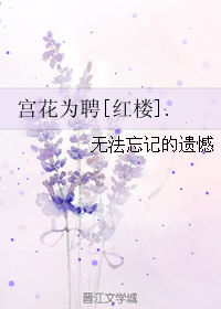 《（红楼同人）宫花为聘[红楼]》 作者：无法忘记的遗憾 txt文件大小：786.46 KB