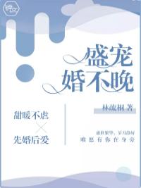 《盛宠婚不晚》 作者：林疏桐 txt文件大小：2.32 MB