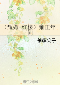 《（综同人）（甄嬛+红楼）雍正年间》 作者：袖家染子 txt文件大小：652.59 KB