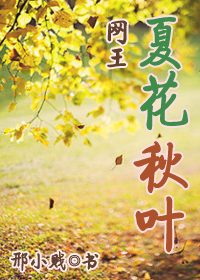 《（网王同人）[网王]夏花秋叶》 作者：邢小贱 txt文件大小：112.36 KB