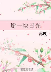 《掰一块日光》 作者：苏说 txt文件大小：210.31 KB