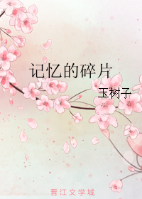 《记忆的碎片》 作者：玉树子 txt文件大小：858.59 KB