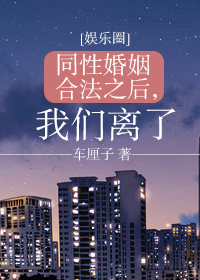 《同性恋婚姻合法之后，我们离了[娱乐圈]》 作者：车厘子/四时江南/江南四时/樱桃 txt文件大小：428.01 KB