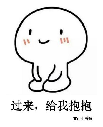 《（韩娱同人）[娱乐圈]过来，给我抱抱》 作者：小香葱舒 txt文件大小：481.26 KB