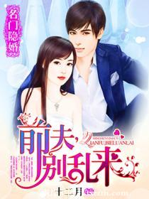《名门隐婚：前夫，别乱来》 作者：十二月 txt文件大小：1.52 MB