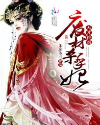 《天才符医：废材杀手妃》 作者：朱颜依旧 txt文件大小：804.06 KB