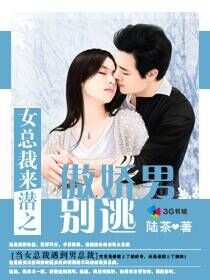 《女总裁来潜之傲娇男别逃》 作者：陆茶 txt文件大小：576.3 KB