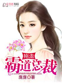 《拖走霸道总裁》 作者：庞庞 txt文件大小：1.68 MB