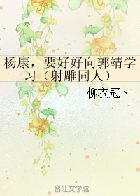 《（射雕同人）杨康，要好好向郭靖学习》 作者：柳衣冠丶 txt文件大小：132.52 KB