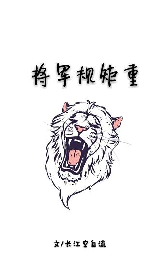 《将军规矩重》 作者：长江空自流 txt文件大小：341.7 KB