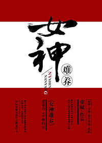 《女神难养》 作者：重赋 txt文件大小：1.03 MB