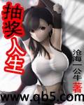 《抽奖人生》 作者：沧海一公牛 txt文件大小：2.89 MB