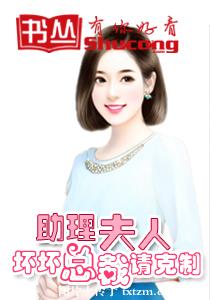 《助理夫人：坏坏总裁请克制》 作者：小皇叔 txt文件大小：1.13 MB