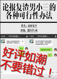 《论报复渣男小三的各种可行性办法》 作者：碎碎安平 txt文件大小：165.02 KB