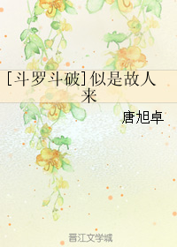 《（综同人）[斗罗斗破]似是故人来》 作者：唐旭卓 txt文件大小：60.83 KB