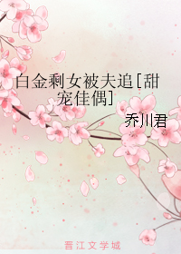 《白金剩女被夫追[甜宠佳偶]》 作者：乔川君 txt文件大小：458.48 KB