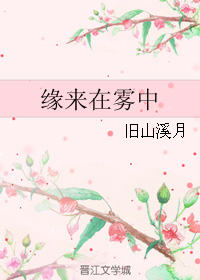 《缘来在雾中》 作者：旧山溪月 txt文件大小：389.68 KB