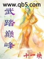 《武踏巅峰》 作者：十一块 txt文件大小：3.19 MB