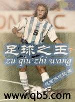 《足球之王》 作者：想写不想说 txt文件大小：3.16 MB
