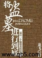 《将盗墓进行到底》 作者：龙飞 txt文件大小：3.54 MB