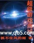 《超级游戏商城》 作者：抓不住风的雨 txt文件大小：1.1 MB