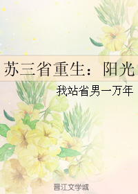 《(麻雀同人）苏三省重生：阳光》 作者：我站省男一万年 txt文件大小：105.26 KB