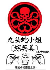 《（综英美剧同人）九头蛇小姐[综英美]》 作者：木兮蜻蜓 txt文件大小：905.1 KB