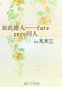 《（Fate zero同人）如此撩人》 作者：cc木木三 txt文件大小：86 KB