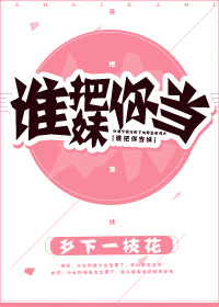 《谁把你当妹》 作者：乡下一枝花 txt文件大小：141.07 KB