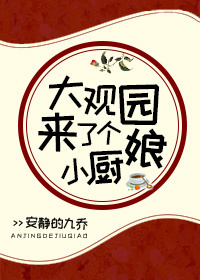 《（红楼同人）[红楼]大观园来了个小厨娘》 作者：安静的九乔 txt文件大小：1.19 MB