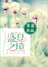 《盛夏之境》 作者：井苏 txt文件大小：498.42 KB
