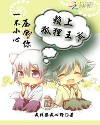 《赖上狐狸王爷：一不小心压倒你》 作者：我姓梁我心野 txt文件大小：957.11 KB
