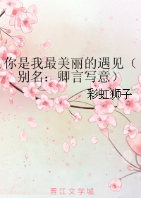 《你是我最美丽的遇见-卿言写意》 作者：彩虹狮子 txt文件大小：329.78 KB