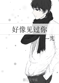 《好像见过你》 作者：一兀 txt文件大小：379.1 KB